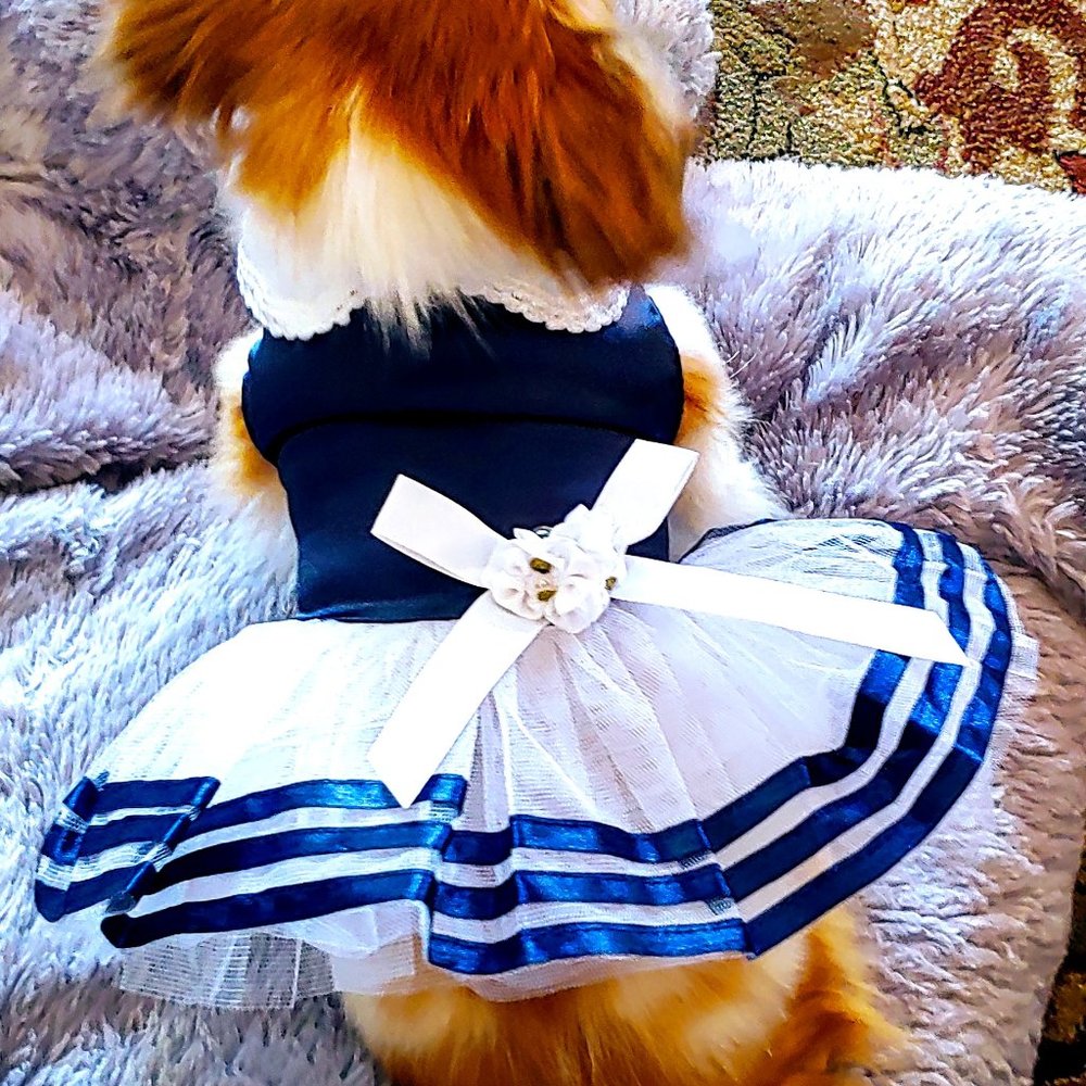 Pretty Dog Dress